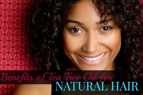 Benefits of Tea Tree Oil for Natural Hair