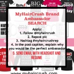 Myhaircrush Brand Ambassador Search 